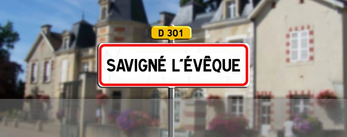 Savigné l'evêque photo chateau